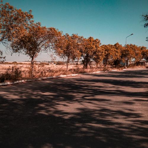 Photo #5039260
