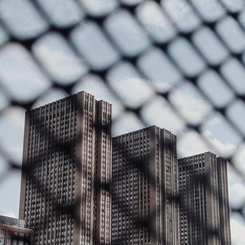 Photo #5039286
