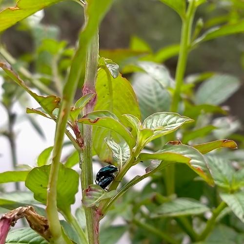 Photo #5039369