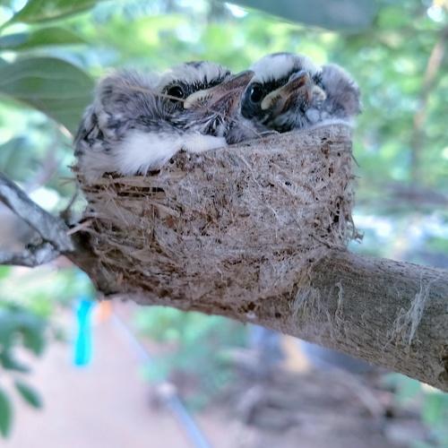 Photo #5039399