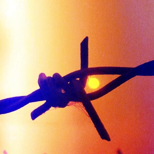 Photo #5040294