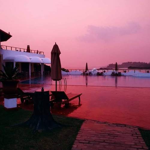 Photo #5040574