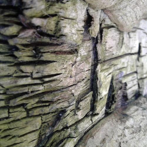 Photo #5040599