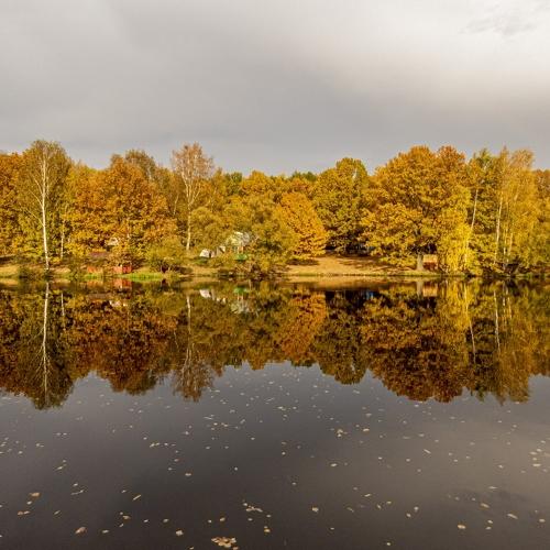 Photo #5040738