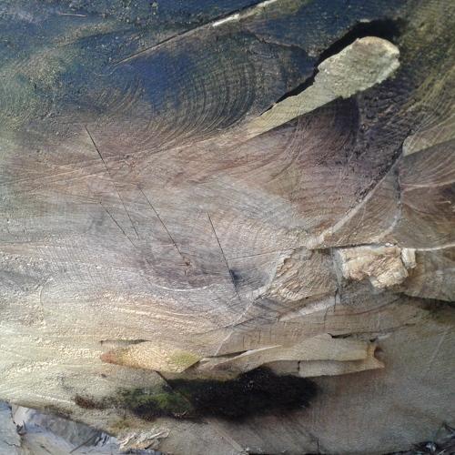 Photo #5040787