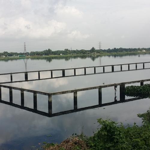 Water miror