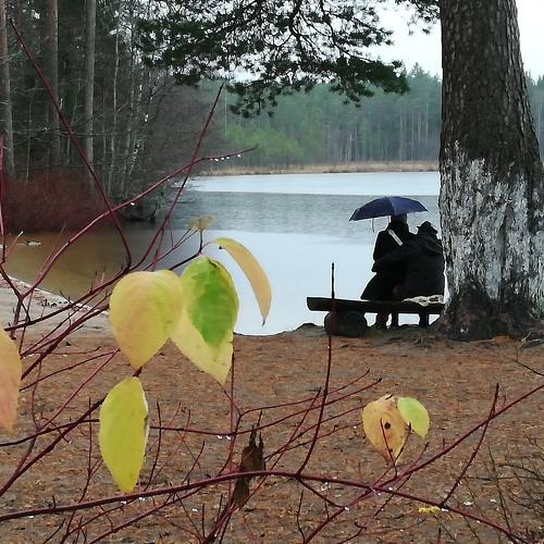 Photo #5041015