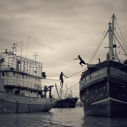 Photo #5041114