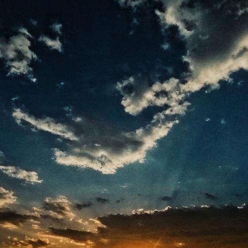 Photo #5041481
