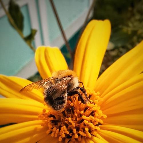 Photo #5041660