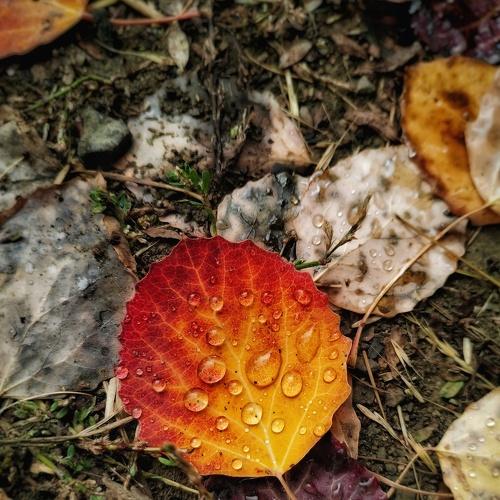 Photo #5041661
