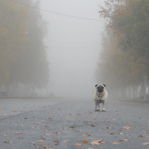 Photo #5041811