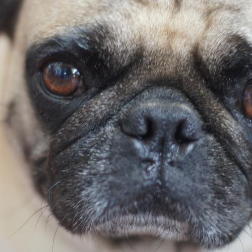 Photo #5042171