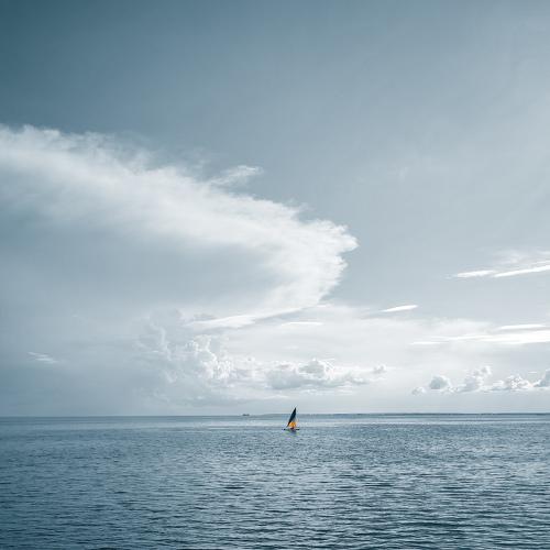 Photo #5042747