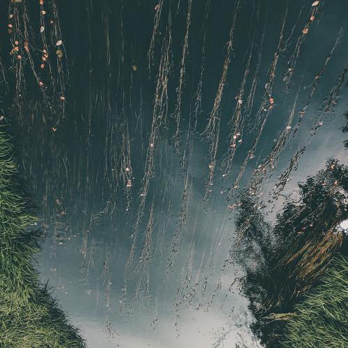 Photo #5042835