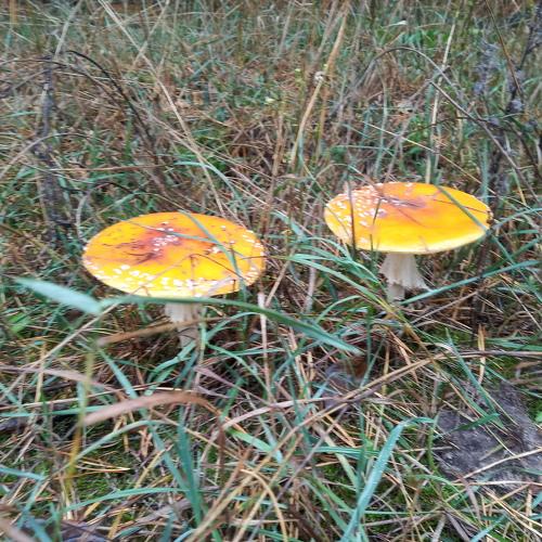 Photo #5043069