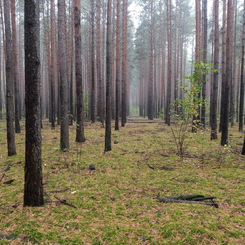 Photo #5043074