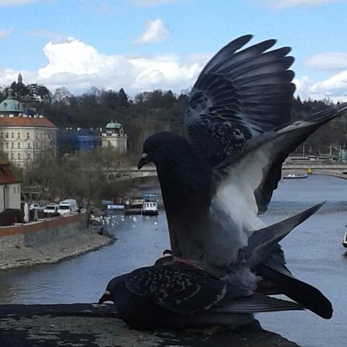 Photo #5043169