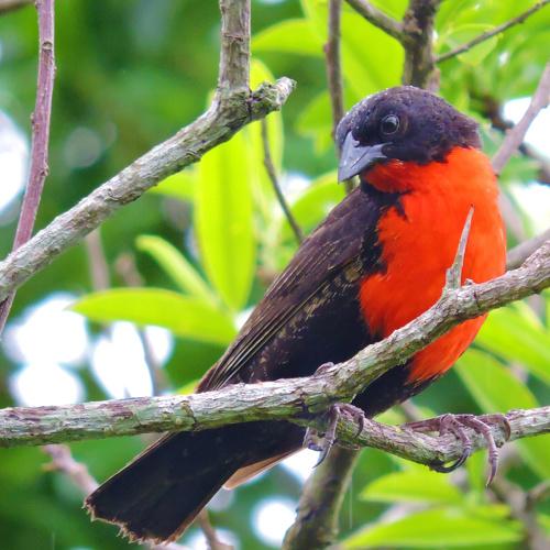 Photo #5043227