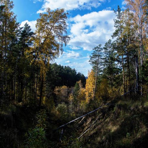 Photo #5043403