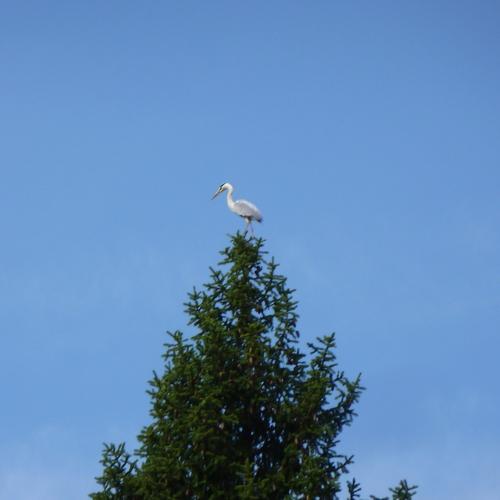 Photo #5043440