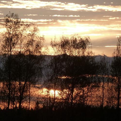 Photo #5043631