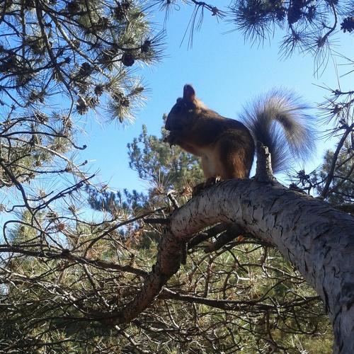 Photo #5044104