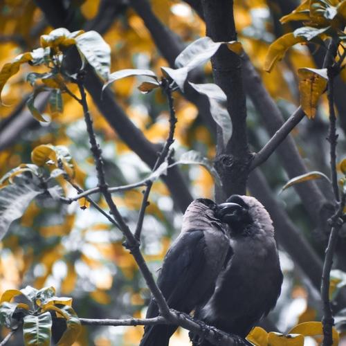 Photo #5044170