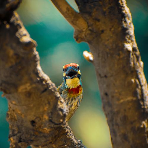 Photo #5044177