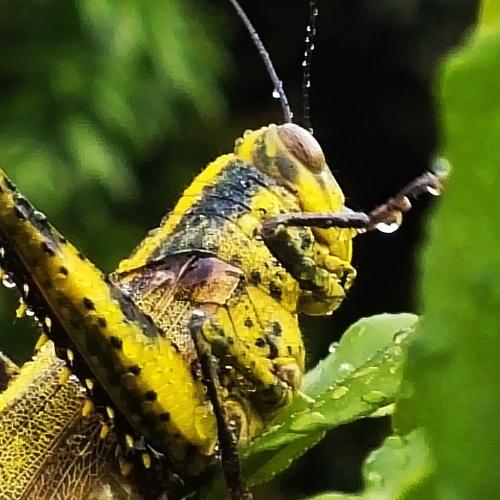 Photo #5044538