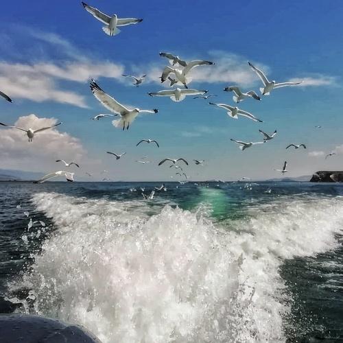 Photo #5044773
