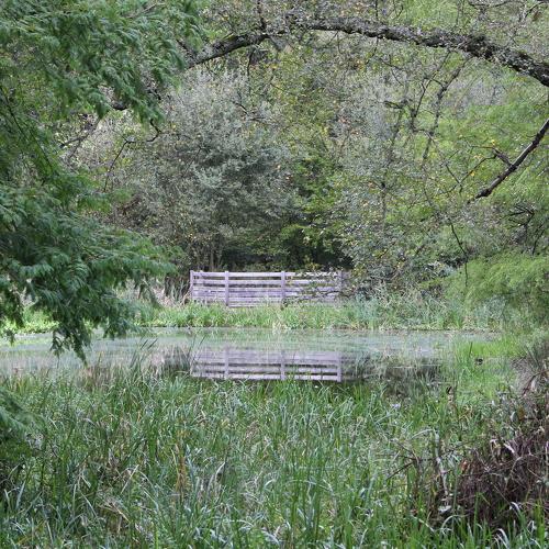 Photo #5045063