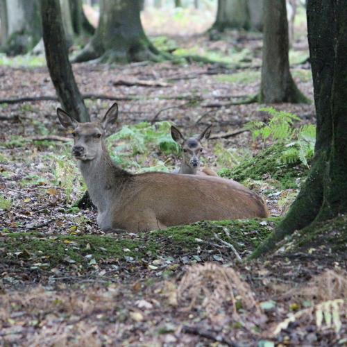 Photo #5045078