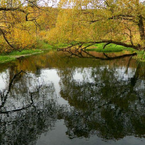 Photo #5045185