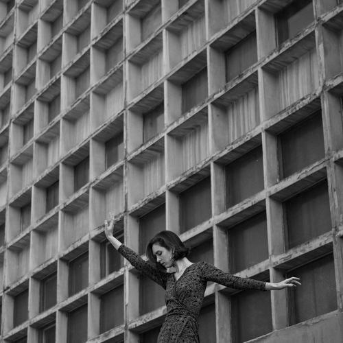 Photo #5045230