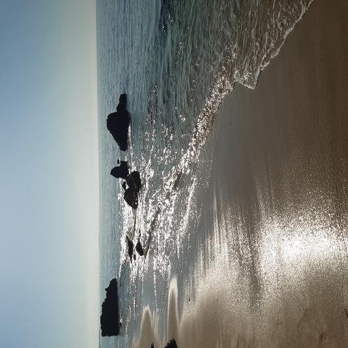 Photo #5046077