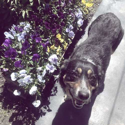 Photo #5046208