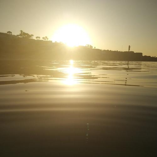 Photo #5046220