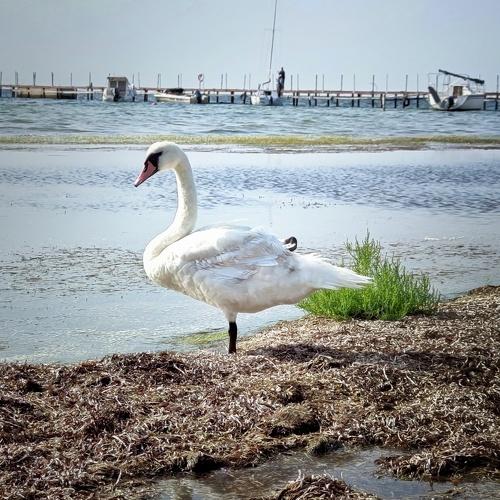 Photo #5046265
