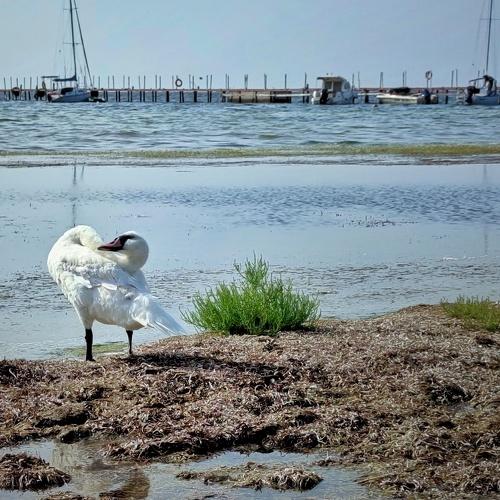 Photo #5046266