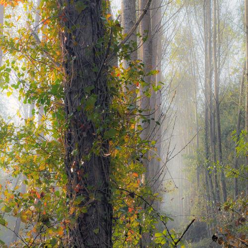 Фотография #5046278