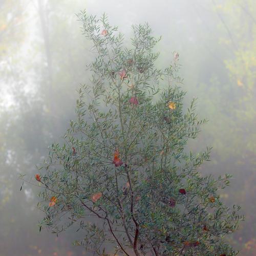 Фотография #5046296