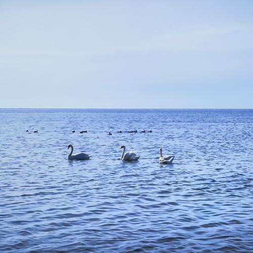 Photo #5046341