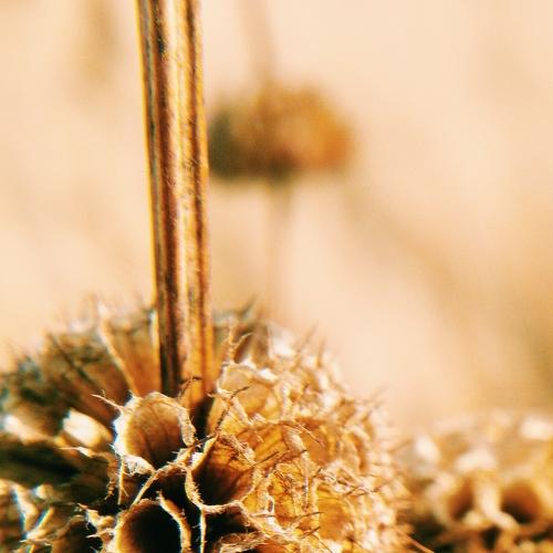 Photo #5046430