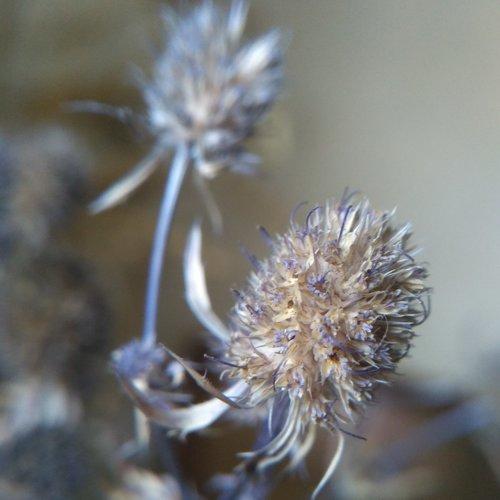 Photo #5046458