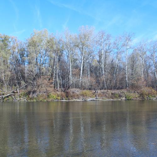 Photo #5047141