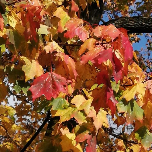 Photo #5047368