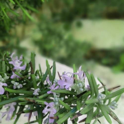 Photo #5047602
