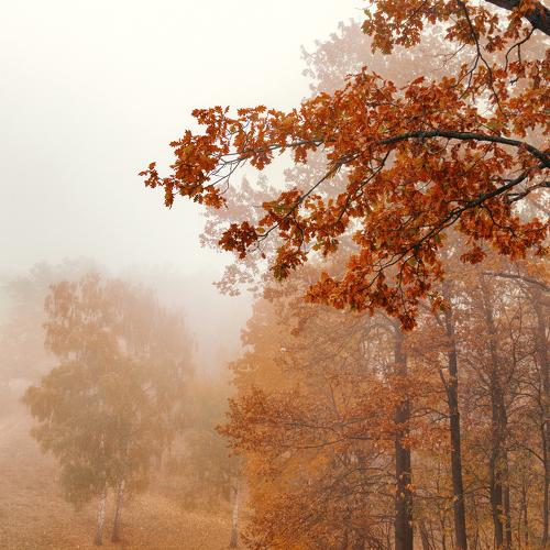 Photo #5047636