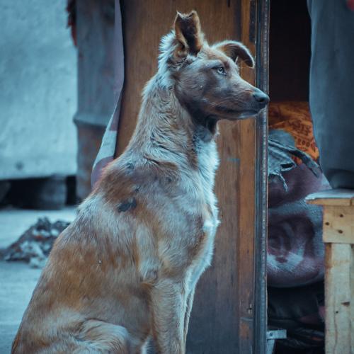 Photo #5047727